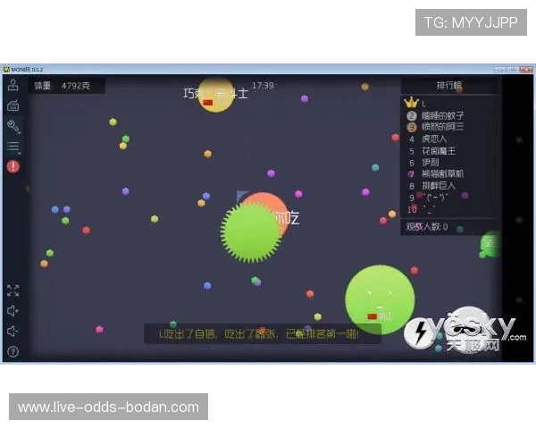 大球小球是什么意思 大型赛事预热避坑指南